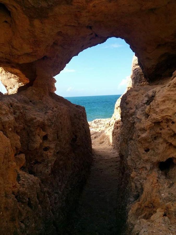 Al Algarve - Alojamento Local Com Excelente Localizacao Carvoeiro  Zewnętrze zdjęcie